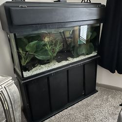 90 Gallon W/ Sump Tank Set Up 