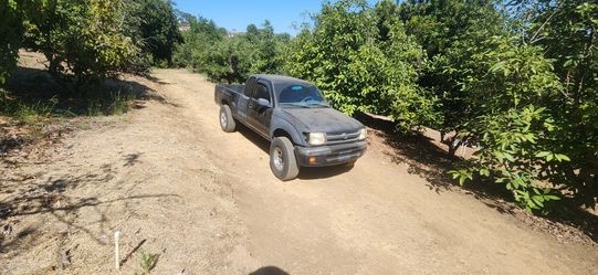 Limpio