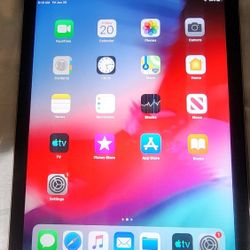 Ipad Air 1 