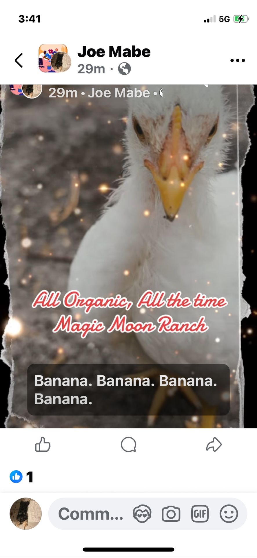 Magic Moon Ranch & Boutique Sale Today 