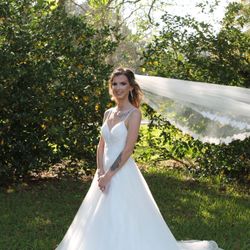 Wedding Dress, Under Skirt An Veil 