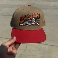 Fitted 7 3/8 Hat