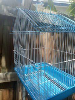 Bird Cage