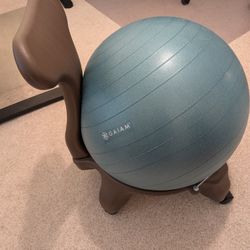 Gaiam Balance Ball Chair
