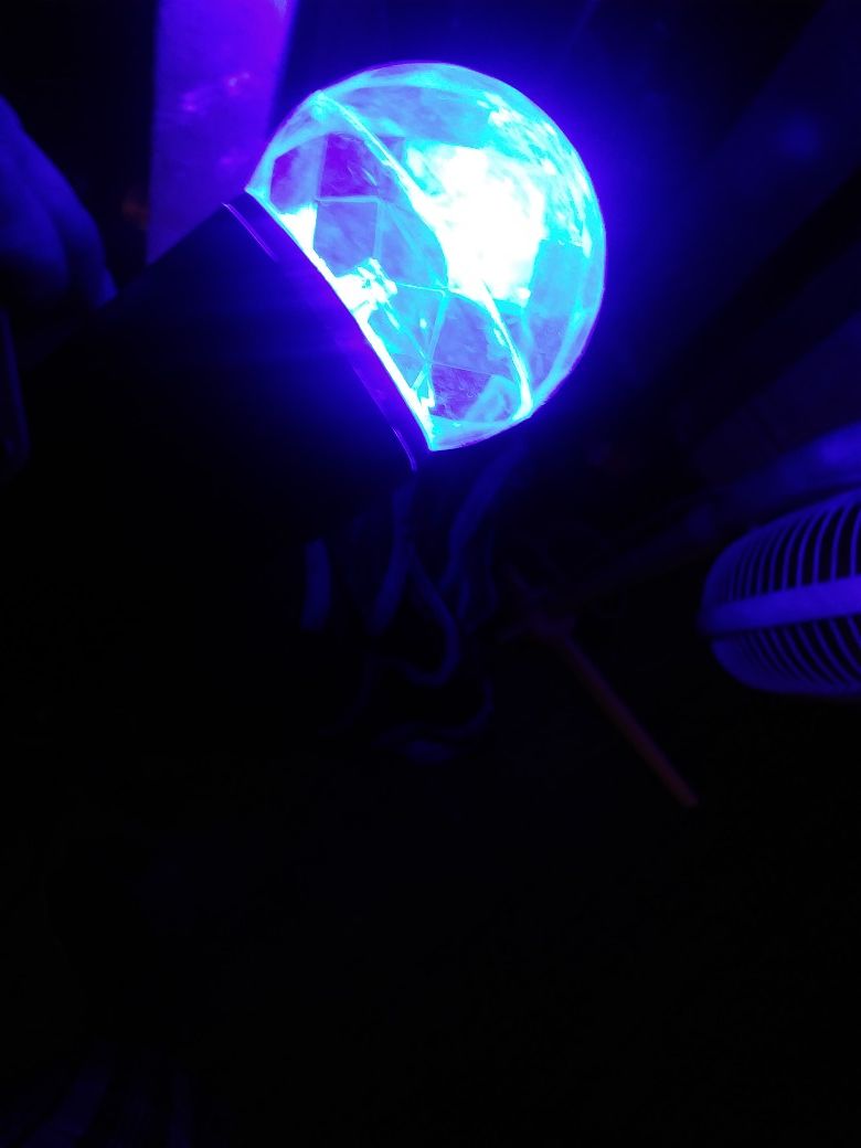 Indoor/outdoor blue light