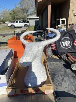 Horned Bull