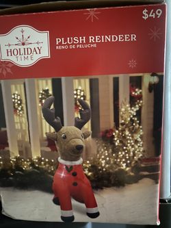 Christmas Inflatable