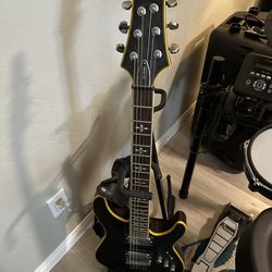 Schecter Electric Guitar