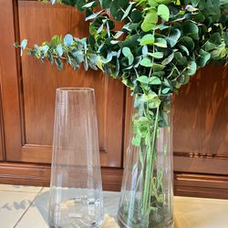 Pair Of Glass Plant Vases 