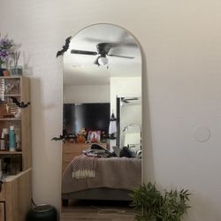 Gold Mirror 70 L x 26 W