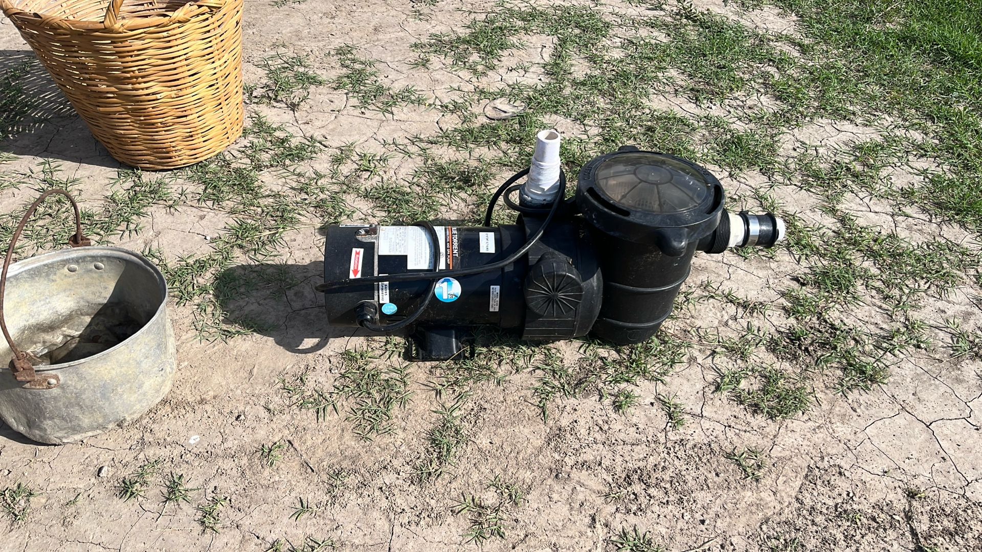 Blue Torrent Pool Pump