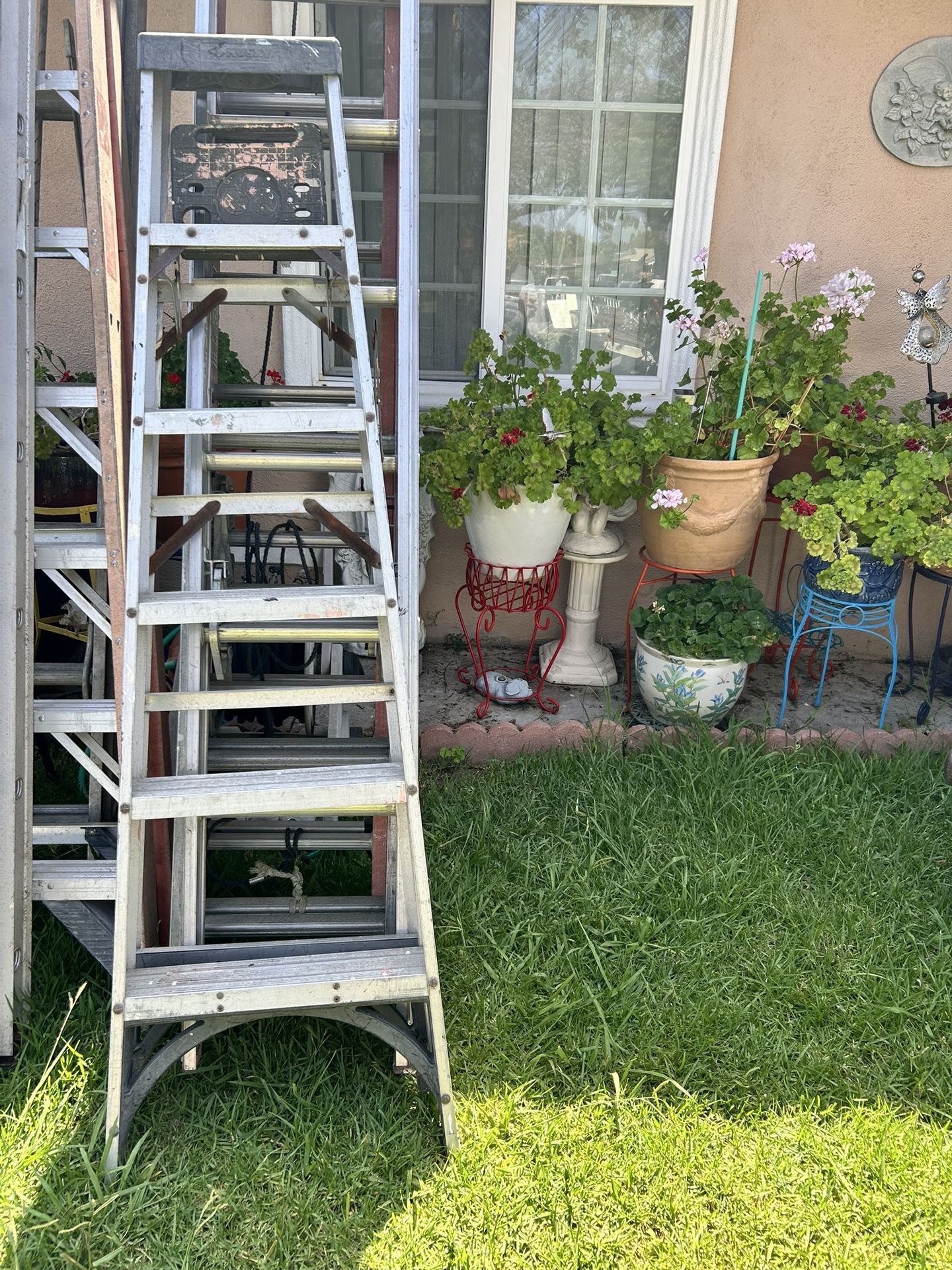 Ladder 6 Ft