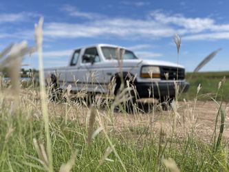 1995 Ford F-150