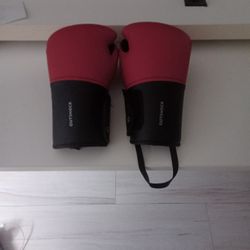 Guantes De Boxeo 