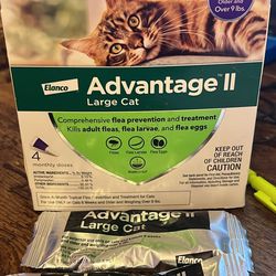 Advantage II For Large Cats