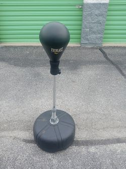 Everlast Speed Bag, Ect.