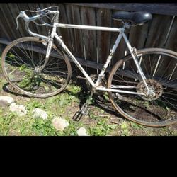 Peugeot Vintage Collector Bike