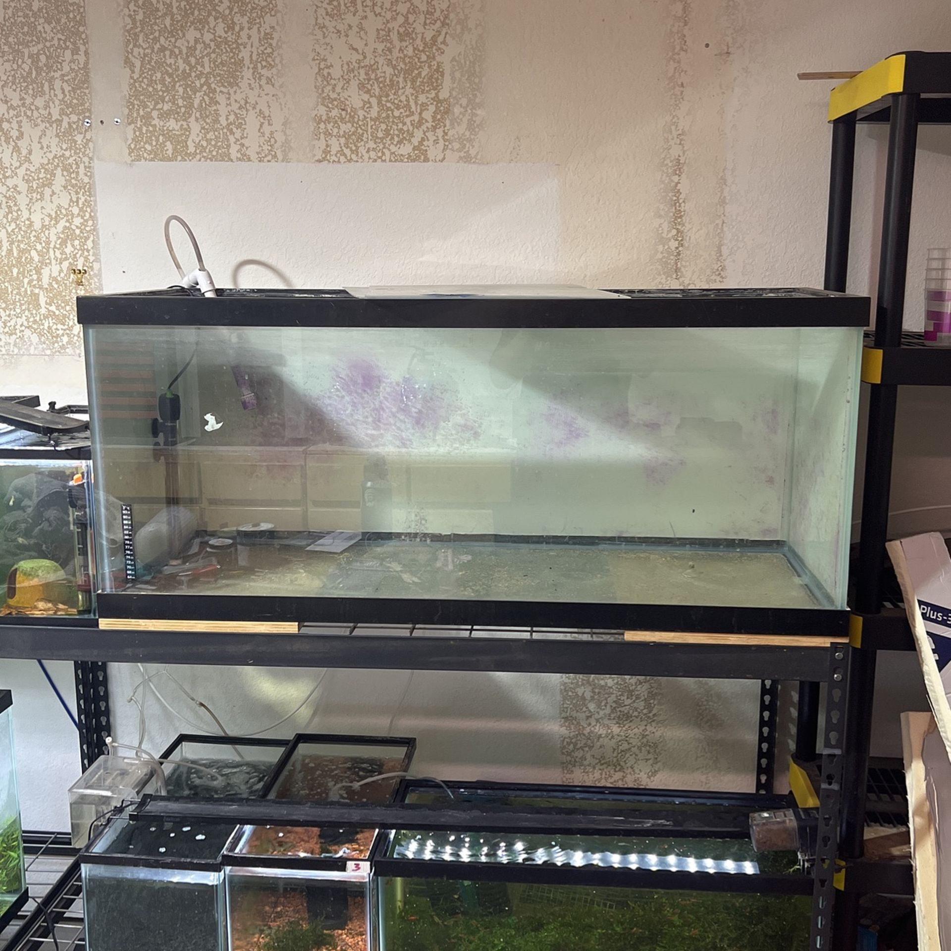 80 Gallon Fish Tank