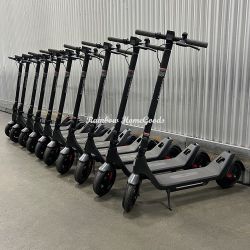 Electric Scooter E-Scooter