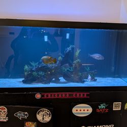 75 Gallon Aquarium.