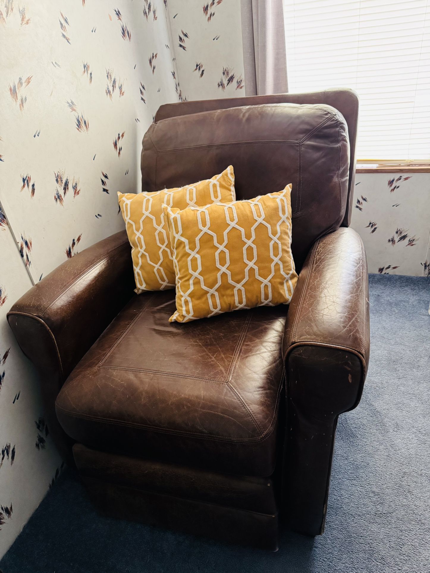Recliner / Sillón Reclinable