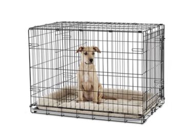 Dog Crate