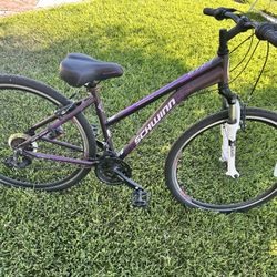 Schwin Bike 