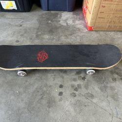 Skate board