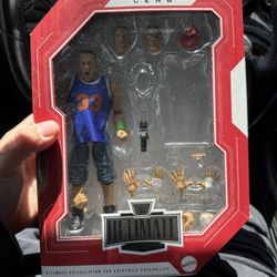 WWE Action Figure Bundle!