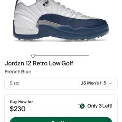 Jordan 12 Golf
