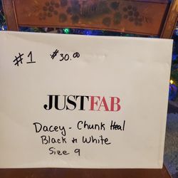 Women's Shoes/Boots Size 9 $25 to $45 OBO Never Been Worn