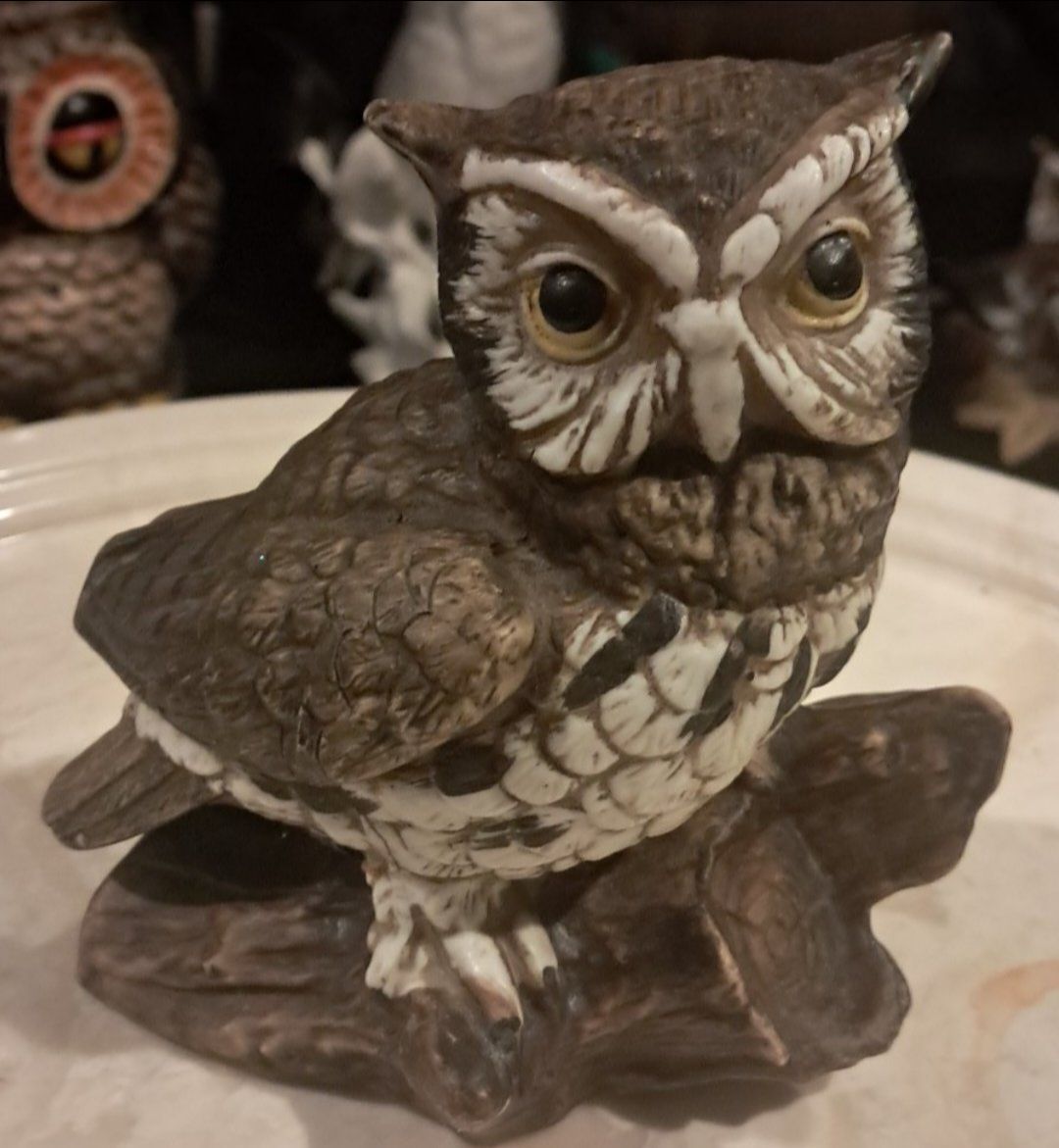 Owl Decor