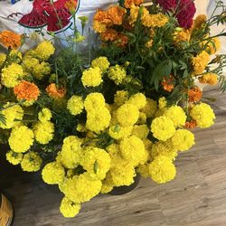 Flores De Sinpazuchil. Y Flor De Tercio Pelo Para El Día De Muertos.