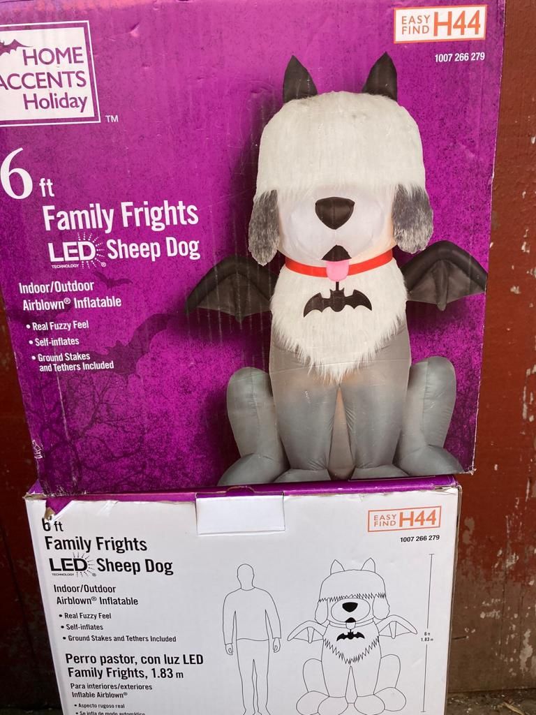 Led Sheep  Dog 