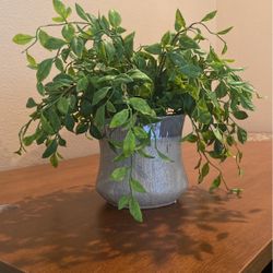 Artificial Plant 