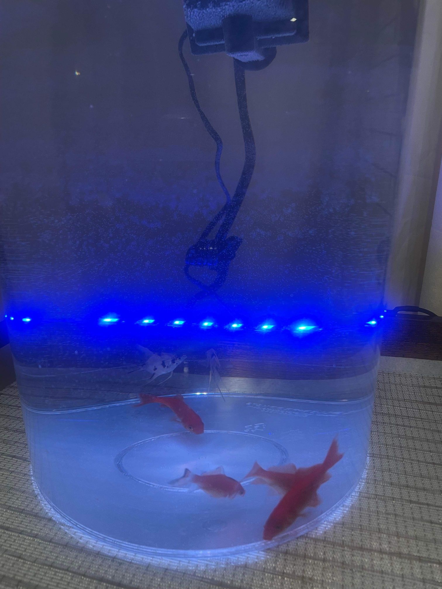 Fish Tank With Filter Gallon 360 Aquarium with LED Lighting