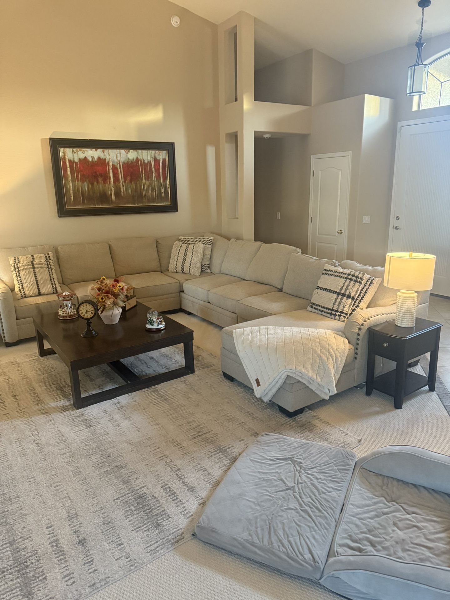 Large Sectional Couch