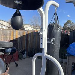 Punching Bag/ Speed Bag With Stand 
