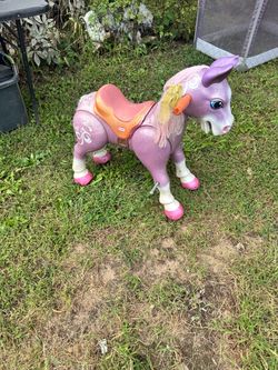 Child’s horse