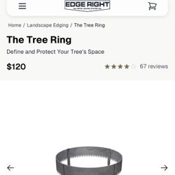 Edge Right Corten Steel Tree Ring (2.5 Ft)