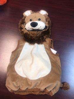Lion costume