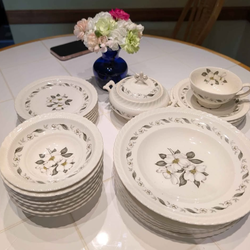 Set 25 pc Steubenville Monticello Cornelia Platter for Herman C. Kupper New York