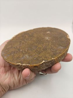 Polished Agate Slab Mineral Specimen