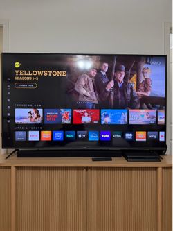 65” Vizio HD resolution television