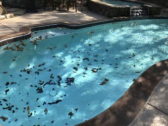 Service and maintenance pools