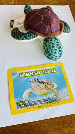National Geographic Kids Plush Sea Turtle