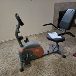 Recumbent Exercise Bike 
