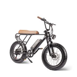 Macfox M20X Electric Bike