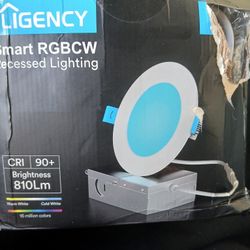 Ligency Smart  Rgbcw Recessed Lighting 