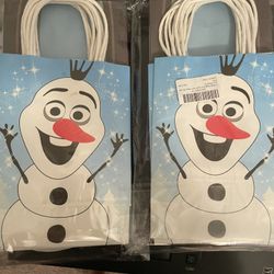 Frozen Theme Bags 